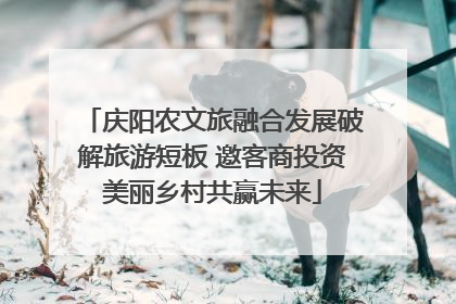 庆阳农文旅融合发展破解旅游短板 邀客商投资美丽乡村共赢未来