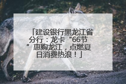 建设银行黑龙江省分行：龙卡“66节”惠购龙江，点燃夏日消费热浪！