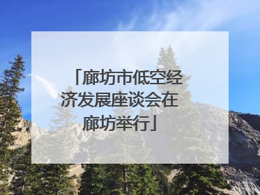 廊坊市低空经济发展座谈会在廊坊举行
