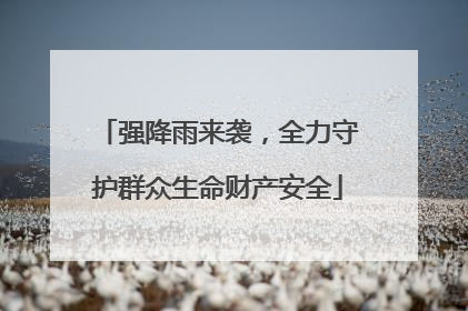 强降雨来袭，全力守护群众生命财产安全