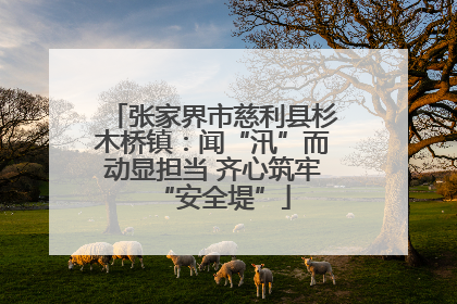 张家界市慈利县杉木桥镇：闻“汛”而动显担当 齐心筑牢“安全堤”