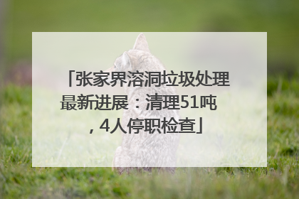 张家界溶洞垃圾处理最新进展：清理51吨，4人停职检查