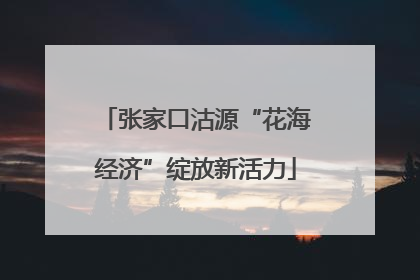 张家口沽源“花海经济”绽放新活力
