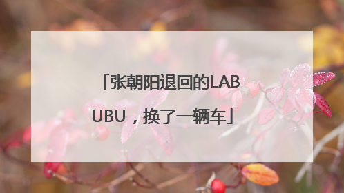 张朝阳退回的LABUBU，换了一辆车