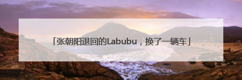 张朝阳退回的Labubu，换了一辆车