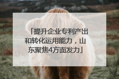 提升企业专利产出和转化运用能力，山东聚焦4方面发力