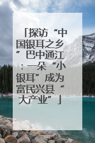 探访“中国银耳之乡”巴中通江：一朵“小银耳”成为富民兴县“大产业”