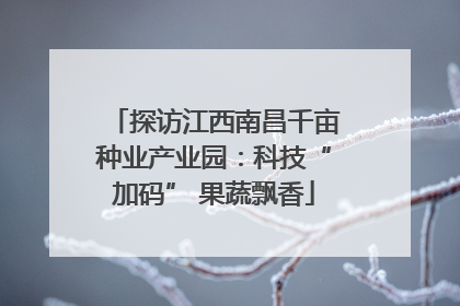 探访江西南昌千亩种业产业园：科技“加码” 果蔬飘香