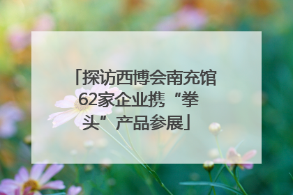 探访西博会南充馆 62家企业携“拳头”产品参展