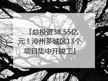 总投资38.55亿元！漳州芗城区13个项目集中开竣工