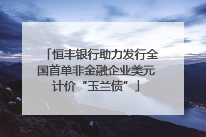 恒丰银行助力发行全国首单非金融企业美元计价“玉兰债”