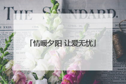 情暖夕阳 让爱无忧