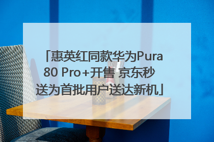 惠英红同款华为Pura 80 Pro+开售 京东秒送为首批用户送达新机