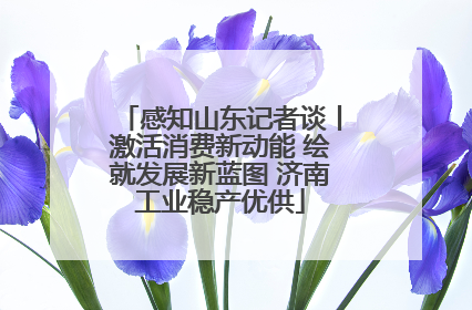 感知山东记者谈丨激活消费新动能 绘就发展新蓝图 济南工业稳产优供