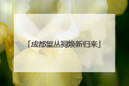 成都望丛祠焕新归来