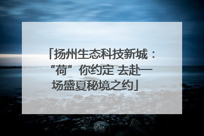 扬州生态科技新城：“荷”你约定 去赴一场盛夏秘境之约
