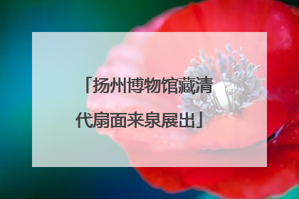 扬州博物馆藏清代扇面来泉展出