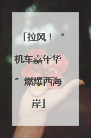 拉风！“机车嘉年华”燃爆西海岸