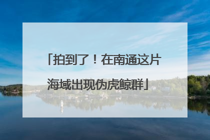拍到了！在南通这片海域出现伪虎鲸群