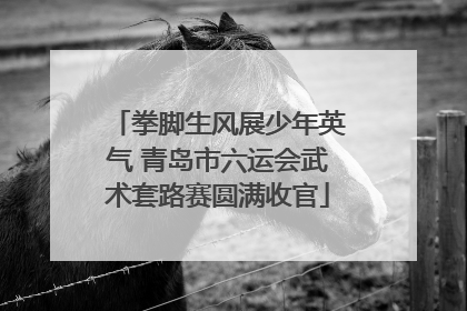 拳脚生风展少年英气 青岛市六运会武术套路赛圆满收官