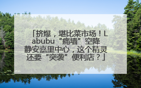 挤爆，堪比菜市场！Labubu“痛墙”空降静安嘉里中心，这个精灵还要“突袭”便利店？