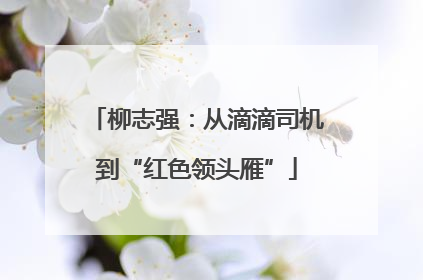 柳志强：从滴滴司机到“红色领头雁”