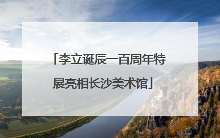 李立诞辰一百周年特展亮相长沙美术馆