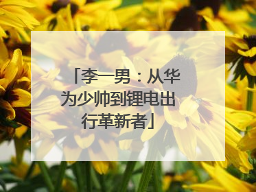 李一男：从华为少帅到锂电出行革新者