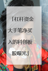 杠杆资金大手笔净买入的科创板股曝光