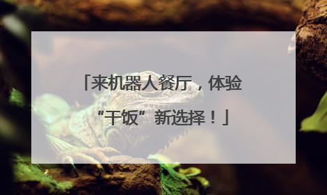 来机器人餐厅，体验“干饭”新选择！