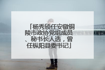 杨秀颀任安徽铜陵市政协党组成员、秘书长人选，曾任枞阳县委书记