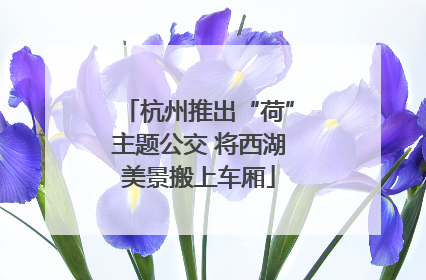杭州推出“荷”主题公交 将西湖美景搬上车厢