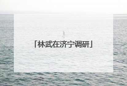 林武在济宁调研