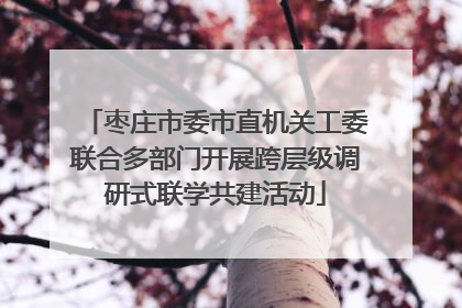 枣庄市委市直机关工委联合多部门开展跨层级调研式联学共建活动