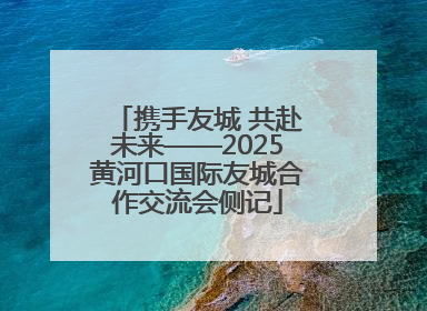携手友城 共赴未来——2025黄河口国际友城合作交流会侧记