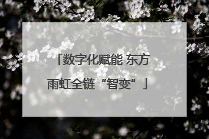 数字化赋能 东方雨虹全链“智变”