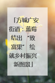 方城广安街道：蓝莓结出 “致富果” 绘就乡村振兴新图景