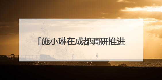 施小琳在成都调研推进省委十二届七次全会精神贯彻落实工作 共同推动文旅深度融合高质量发展 加快打造支柱产业民生产业幸福产业