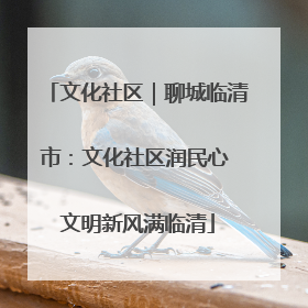 文化社区｜聊城临清市：文化社区润民心 文明新风满临清