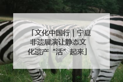 文化中国行｜宁夏 非遗展演让静态文化遗产“活”起来