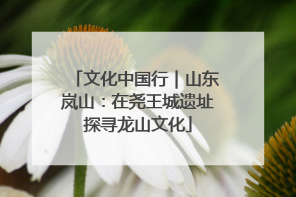 文化中国行｜山东岚山：在尧王城遗址探寻龙山文化