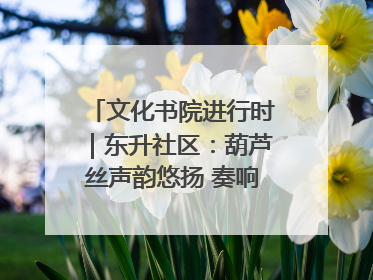 文化书院进行时｜东升社区：葫芦丝声韵悠扬 奏响文化和谐曲