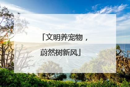 文明养宠物，蔚然树新风