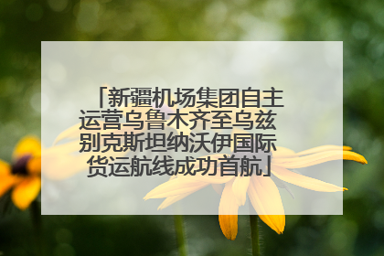 新疆机场集团自主运营乌鲁木齐至乌兹别克斯坦纳沃伊国际货运航线成功首航