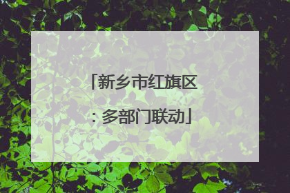 新乡市红旗区：多部门联动