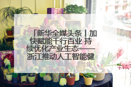 新华全媒头条丨加快赋能千行百业 持续优化产业生态——浙江推动人工智能健康有序发展观察
