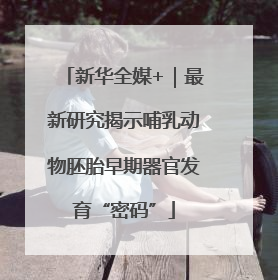 新华全媒+｜最新研究揭示哺乳动物胚胎早期器官发育“密码”