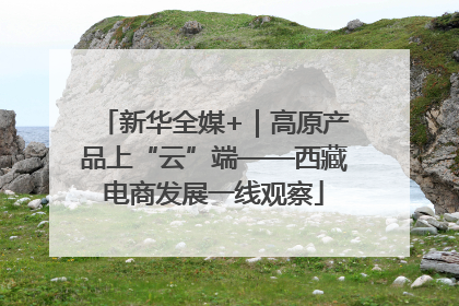 新华全媒+｜高原产品上“云”端——西藏电商发展一线观察