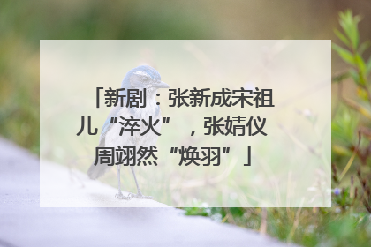 新剧：张新成宋祖儿“淬火”，张婧仪周翊然“焕羽”