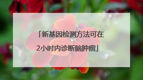 新基因检测方法可在2小时内诊断脑肿瘤